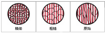 晶粒結(jié)構(gòu)