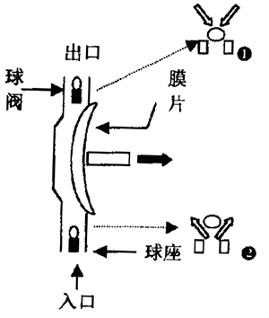 隔膜式定量泵浦動(dòng)作原理示意圖1