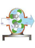 凸輪轉(zhuǎn)子萬用輸送泵5