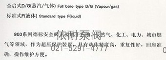 900德標安全閥 用途