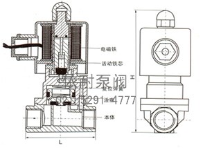 內(nèi)部結(jié)構(gòu)、外形示意圖