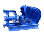 WBR型電動(dòng)高溫往復(fù)泵 縮略圖