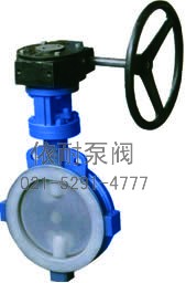 D71/371F46/F3-10/10C/10P ANSI:125Lb /150Lb