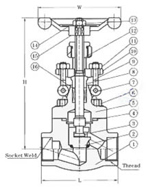 鍛鋼截止閥 外形尺寸圖
