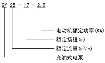 QY潛水泵 型號(hào)意義
