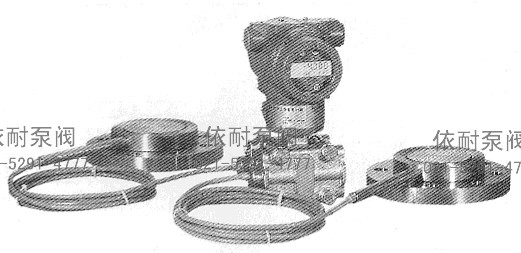 XL3351:3051GP/DP智能遠(yuǎn)傳壓力/差壓變送器