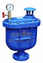 CARX復(fù)合式排氣閥