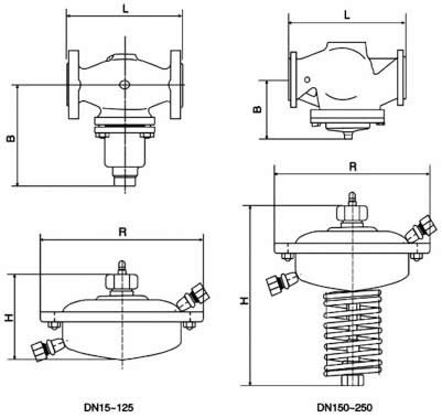 自力式流量調(diào)節(jié)閥 結(jié)構(gòu)圖