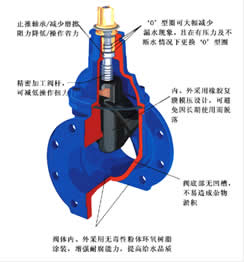 RVHX暗桿軟密封閘閥 結(jié)構(gòu)圖