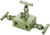 EN5-4 SS-M2F8內(nèi)螺紋三閥組