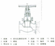 硬密封柱塞閘閥 結(jié)構(gòu)圖